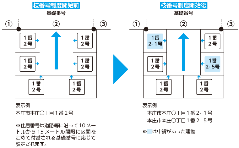 枝番画像