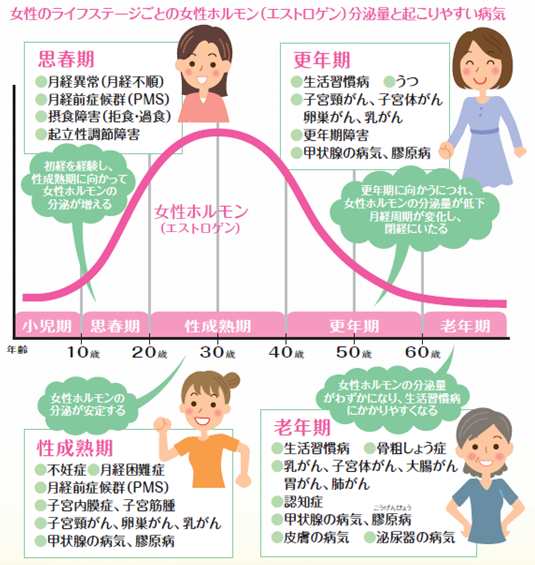 女性の健康とライフステージ