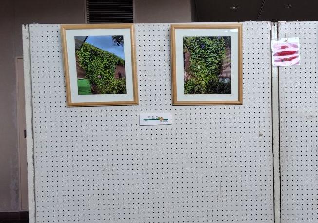 R07セルディ写真展示2枚