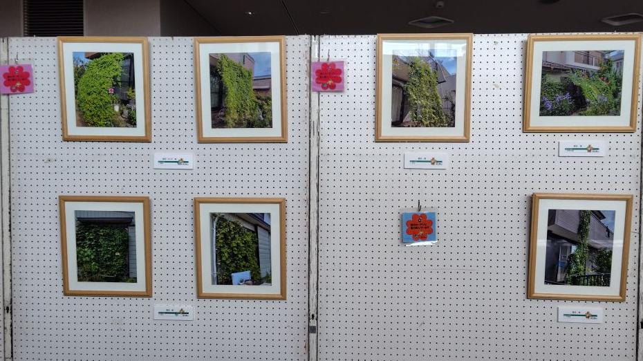 R07セルディ写真展示2枚