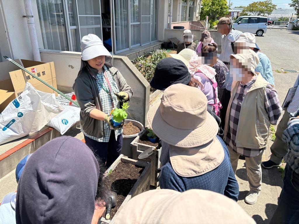 実践作業・苗の植え方1