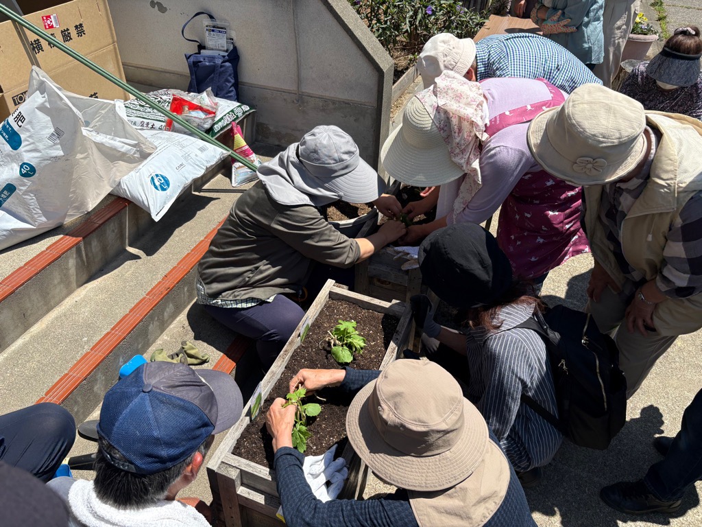 実践作業・苗の植え方2