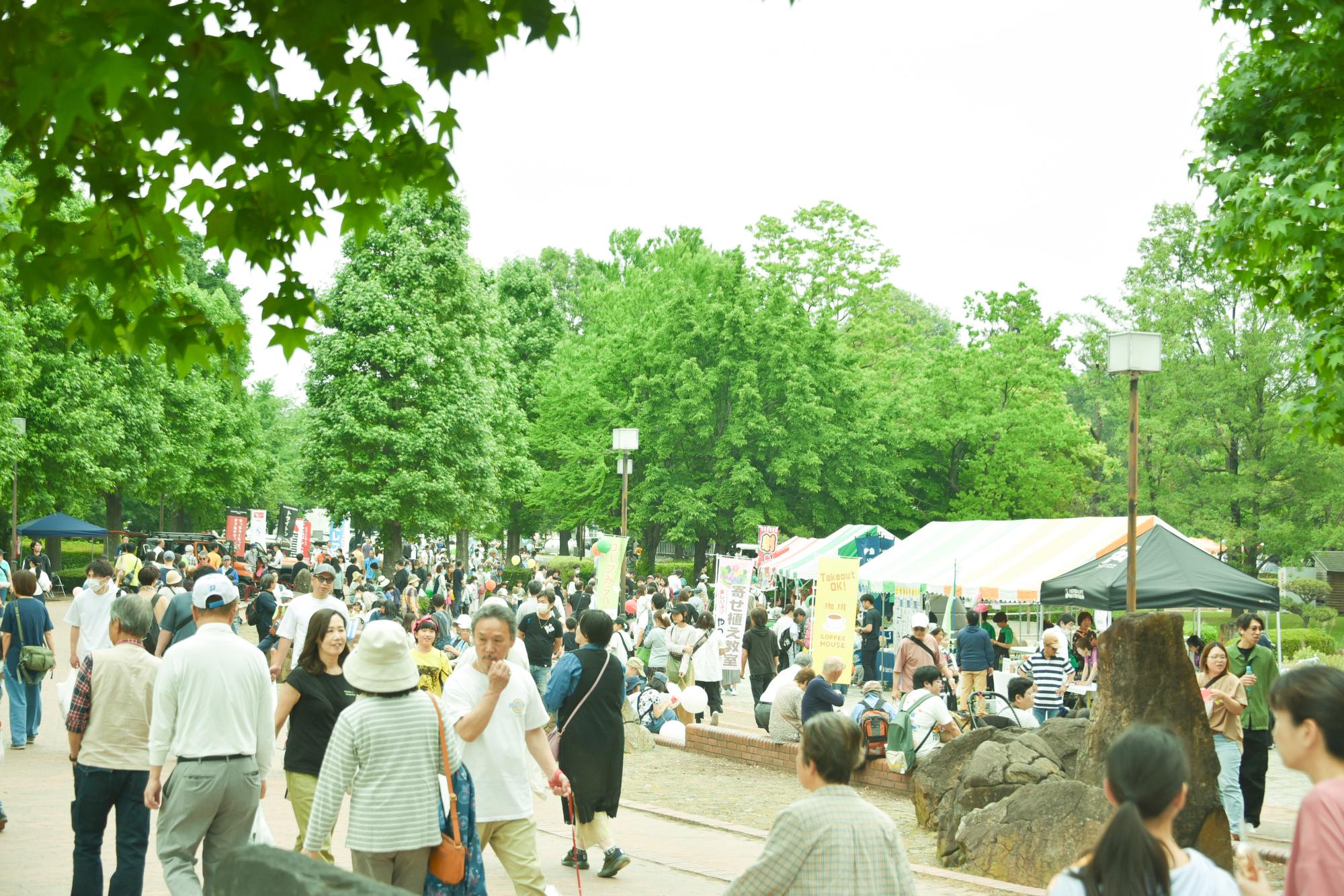 本庄総合公園春まつり