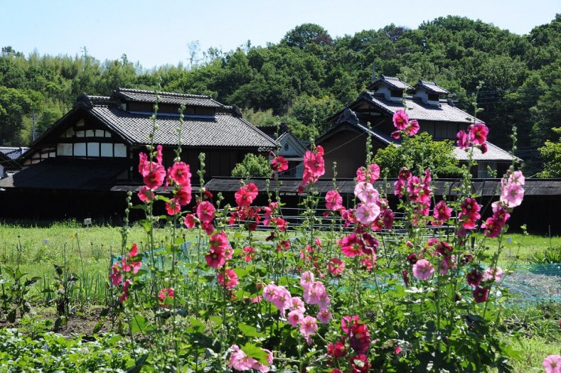 高窓の里