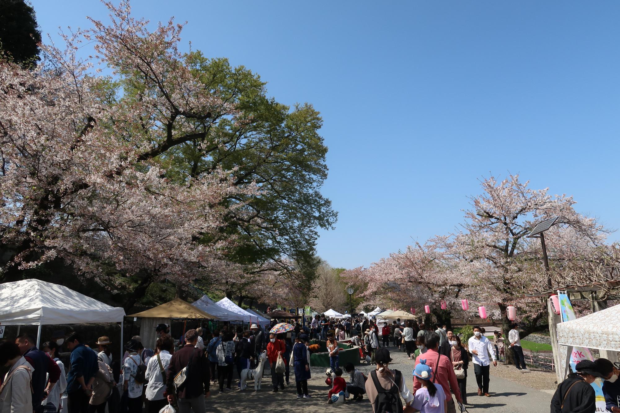 第3回若泉公園桜まつり&本庄クラフトアートフェア2