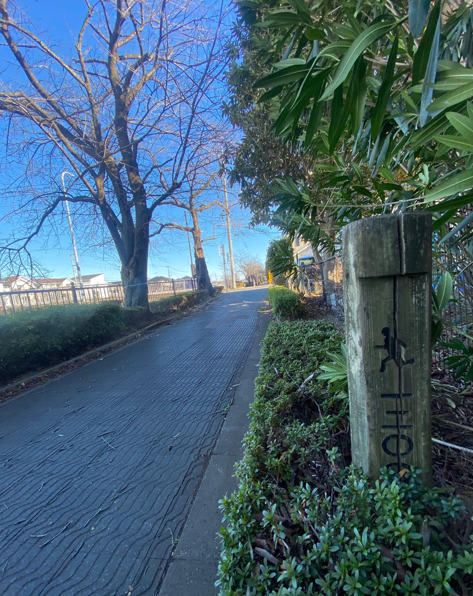 市民ライター こったんさん 場所