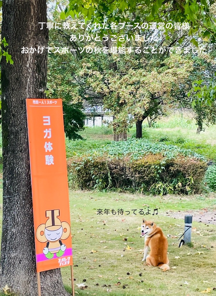 スポレクフェスタ7