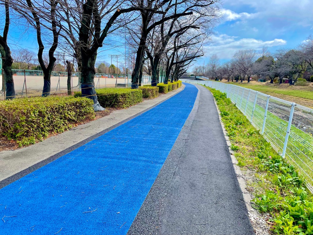 若泉運動公園 園路兼ランニングコース