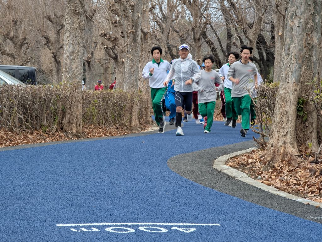 若泉運動公園 園路兼ランニングコース