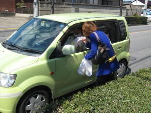 運転手へ交通事故防止運動の声掛けをしている写真