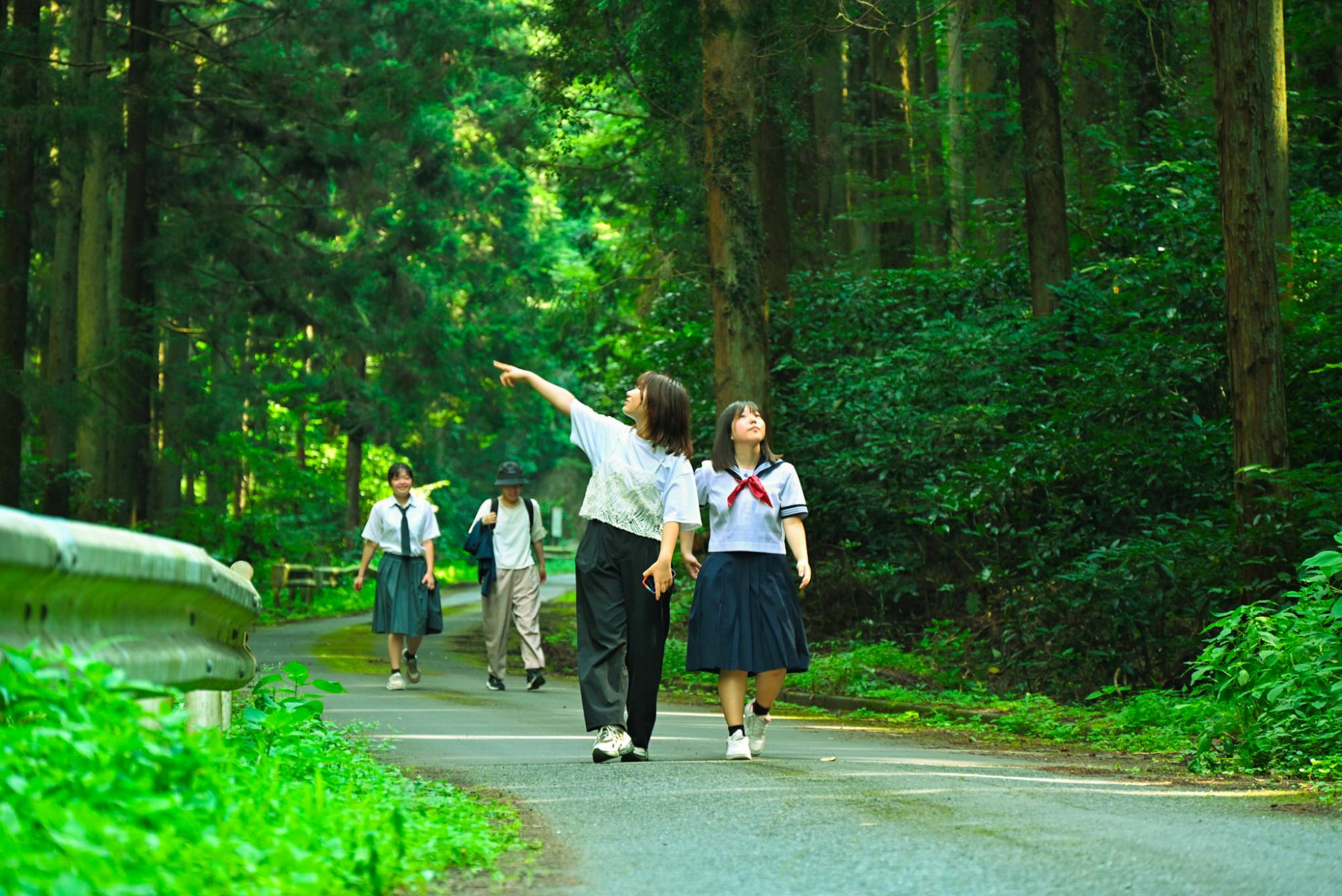 kodama2_PR