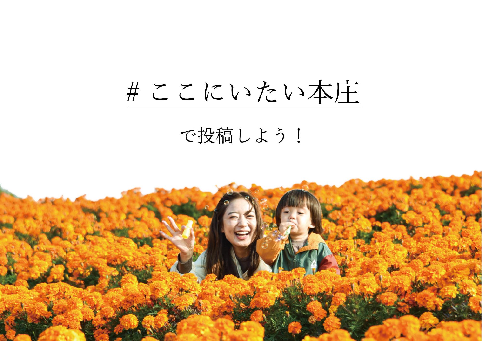 kokoniitaihonjo_PR