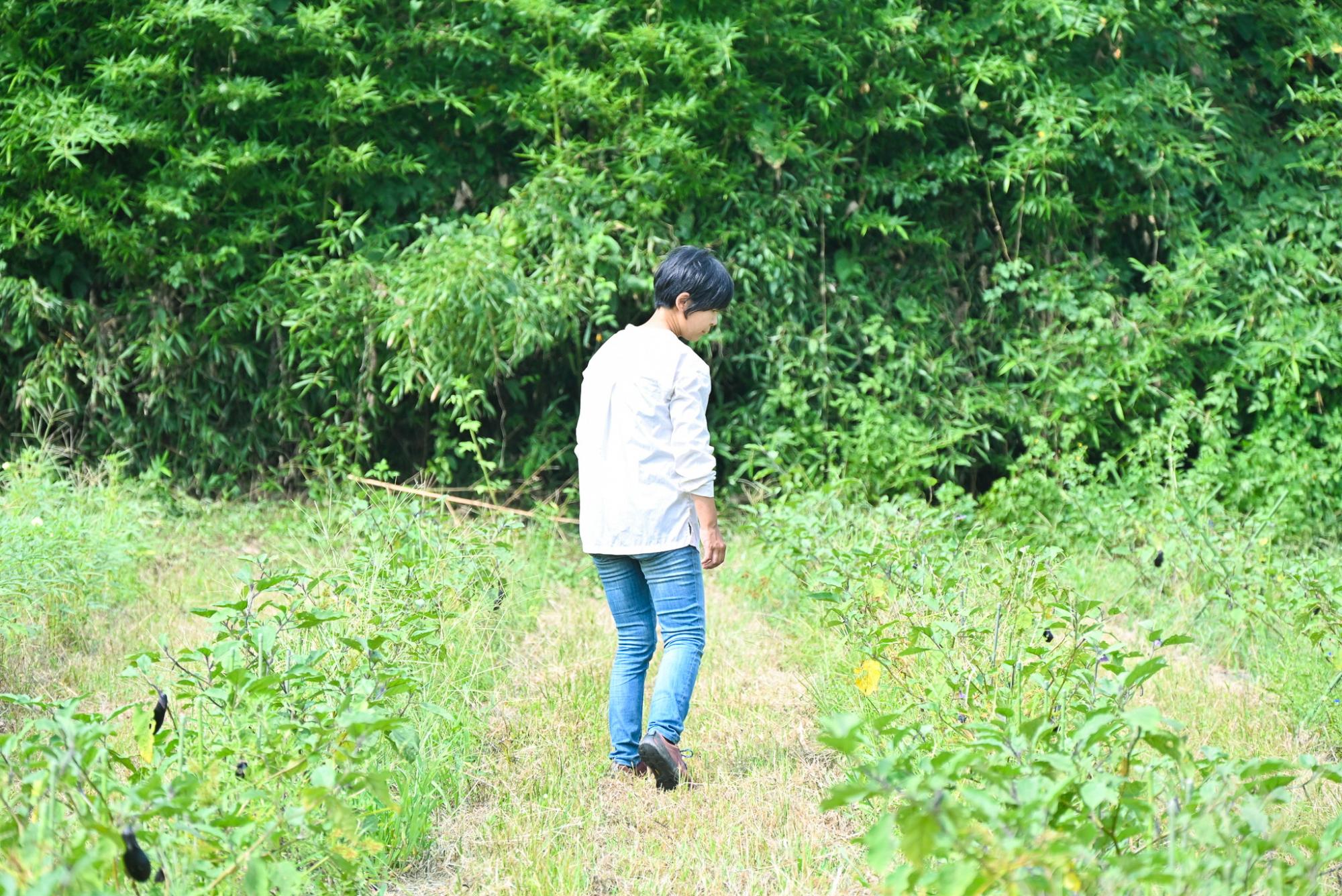 tamatowafarm2_PR