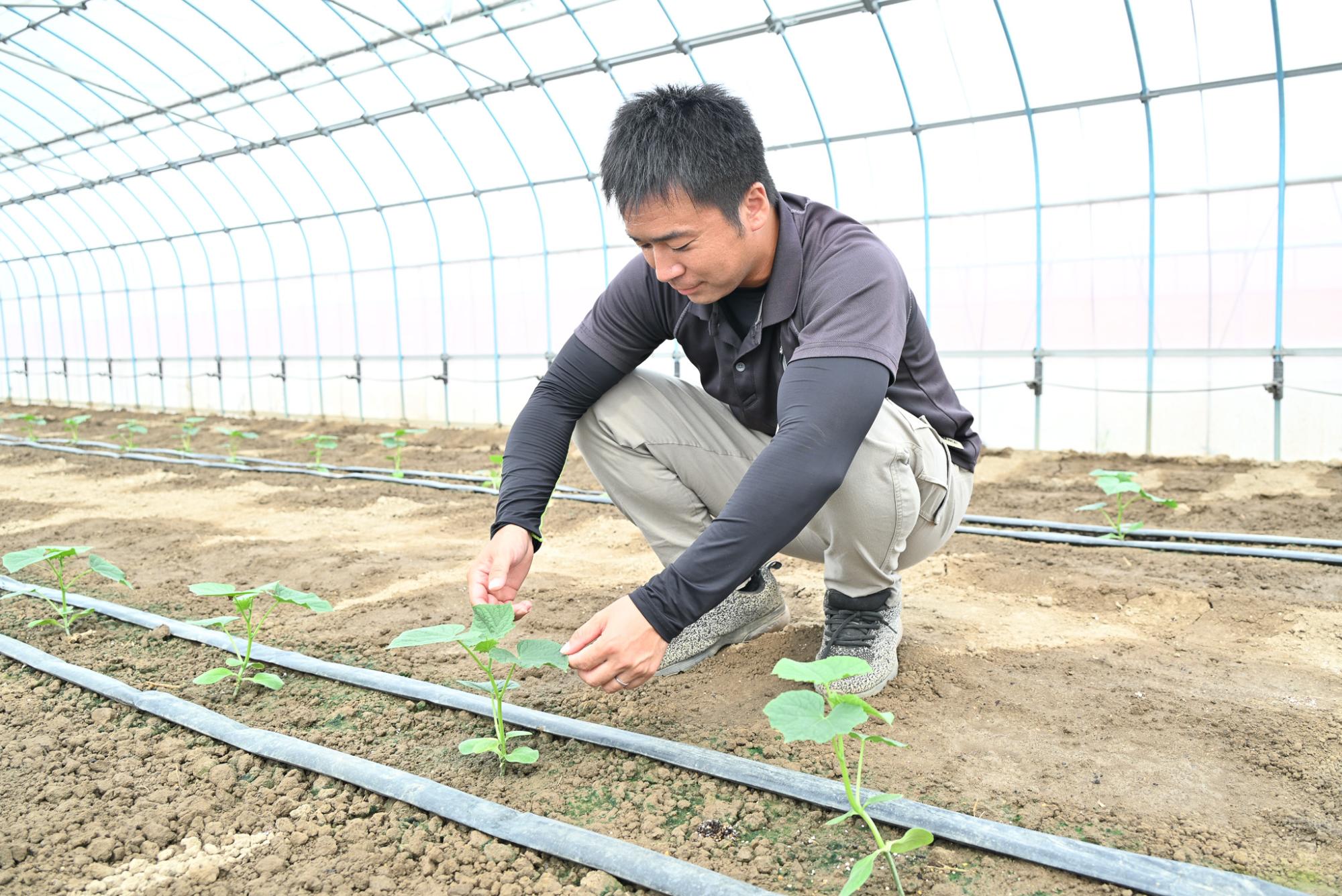 宮崎さん