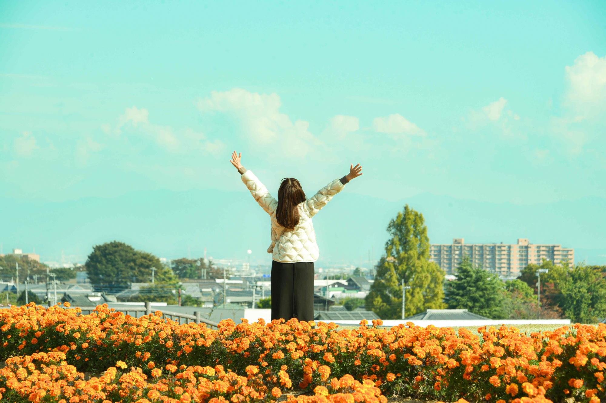 waseda11_PR