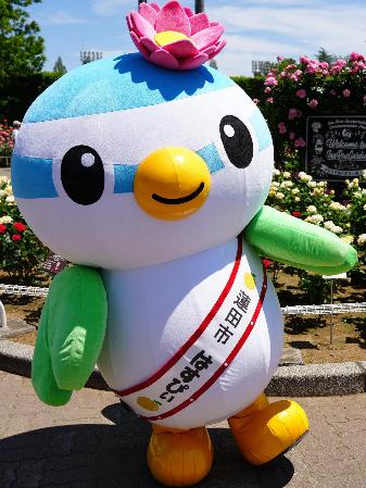 はすぴぃ
