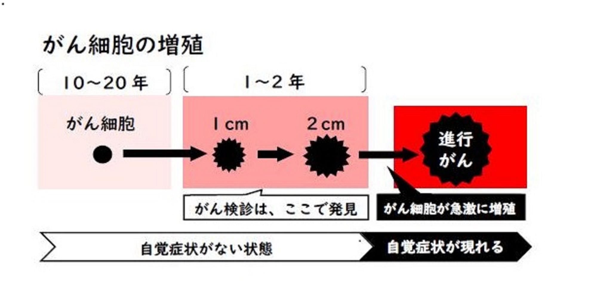 がん細胞の増殖について