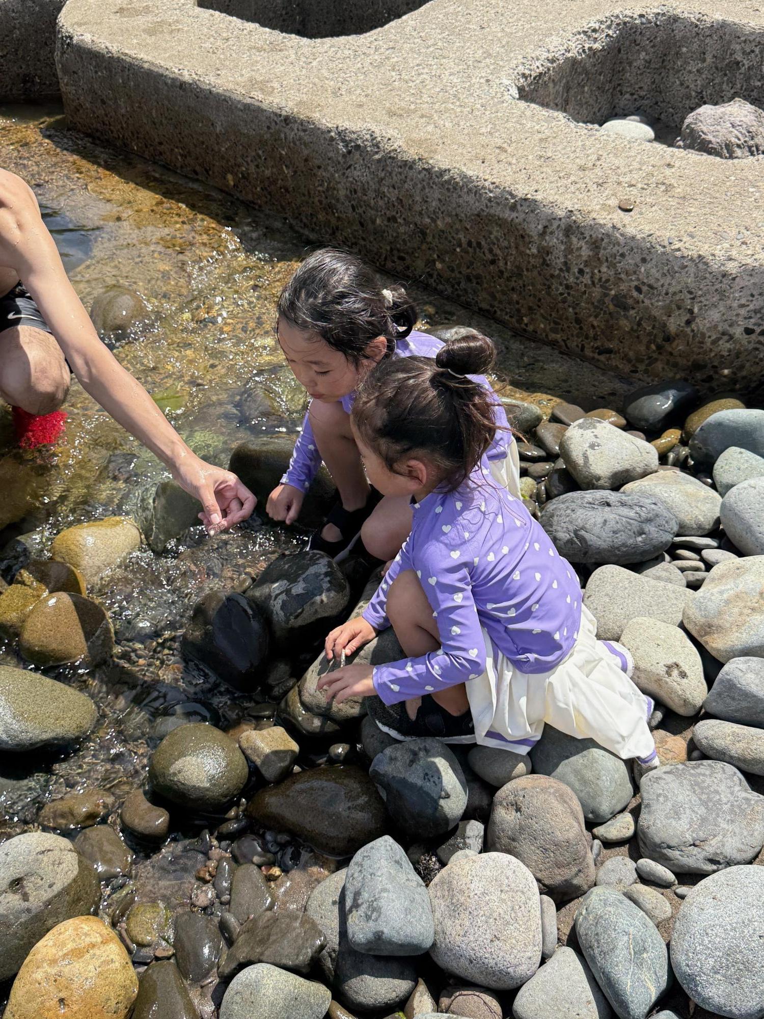 咲茉ちゃん・咲来ちゃん