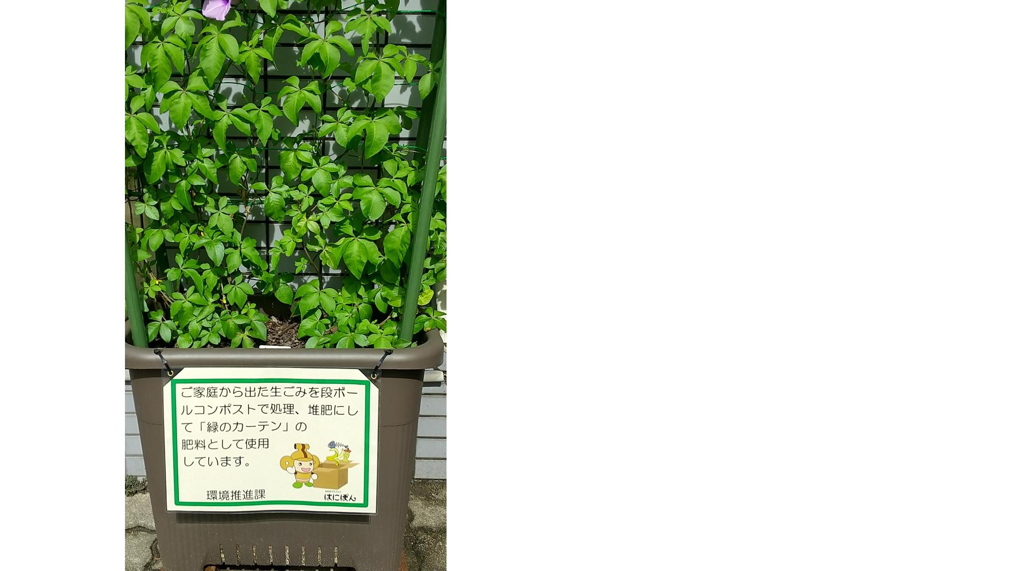 講座で作成したプランター1