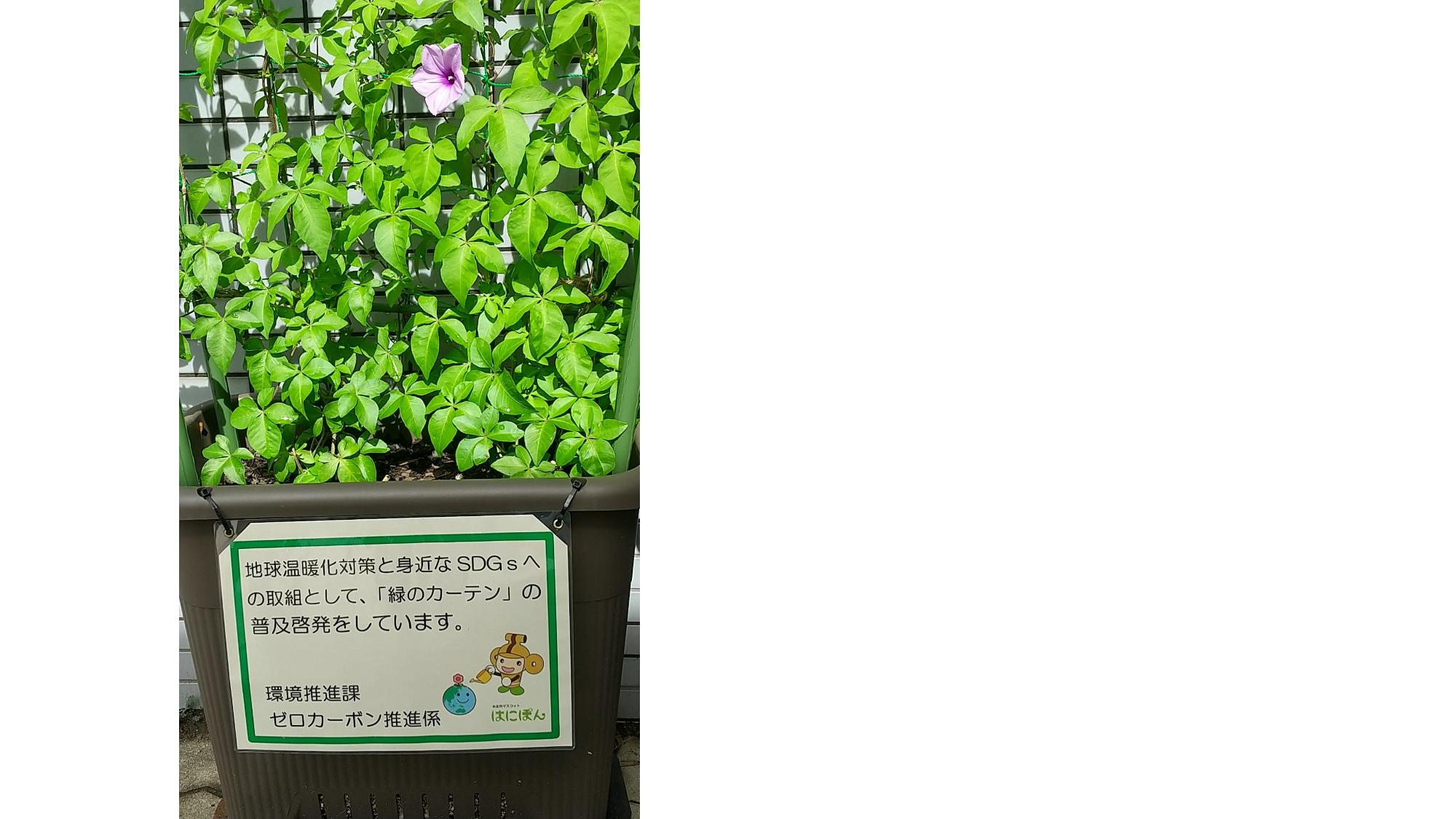 講座で作成したプランター2