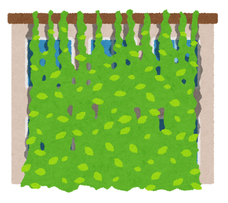 緑のカーテンイラスト