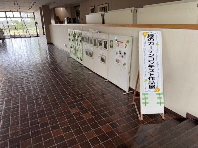 展示（セルディ）1
