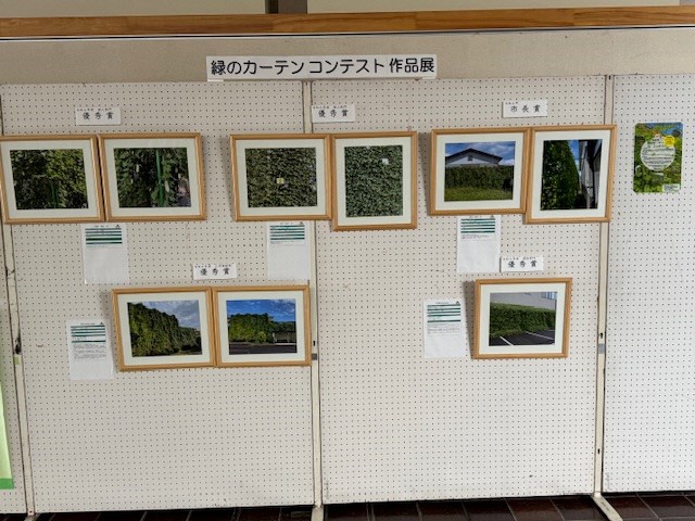 展示（セルディ）3