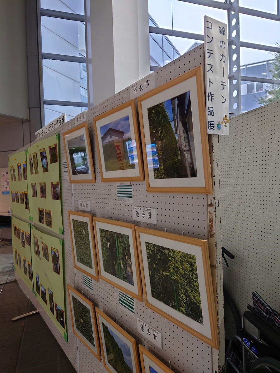 展示（市民ホール）2