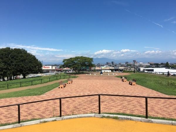 フェンスのある築山から公園全体を写した写真