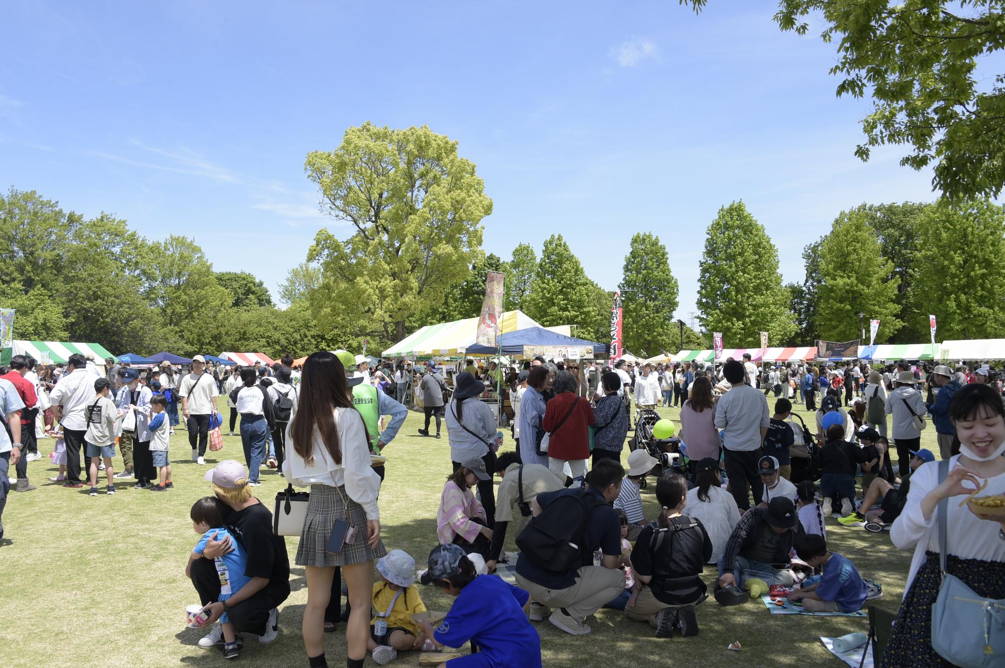 本庄総合公園春まつり