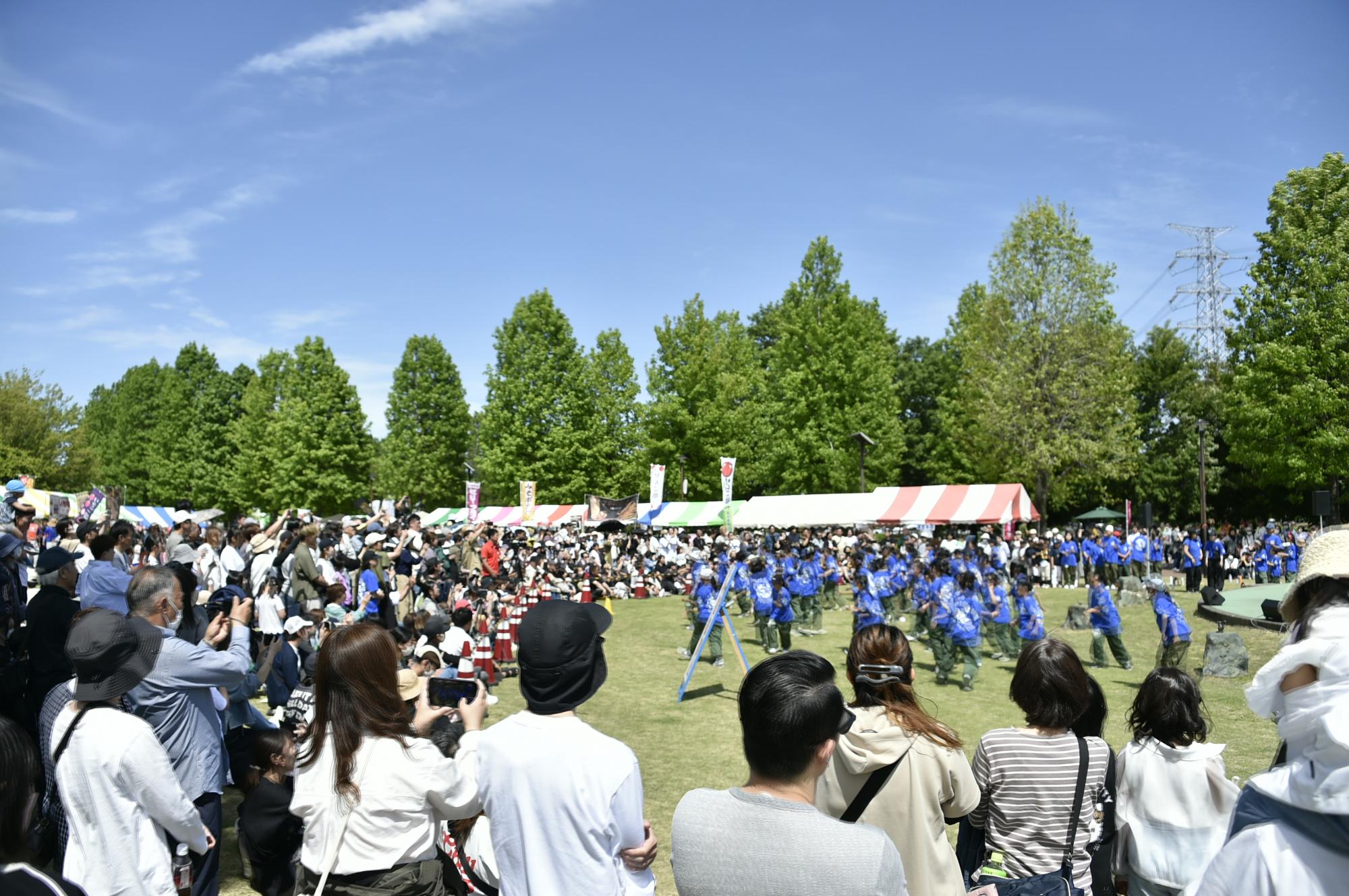 本庄総合公園春まつり