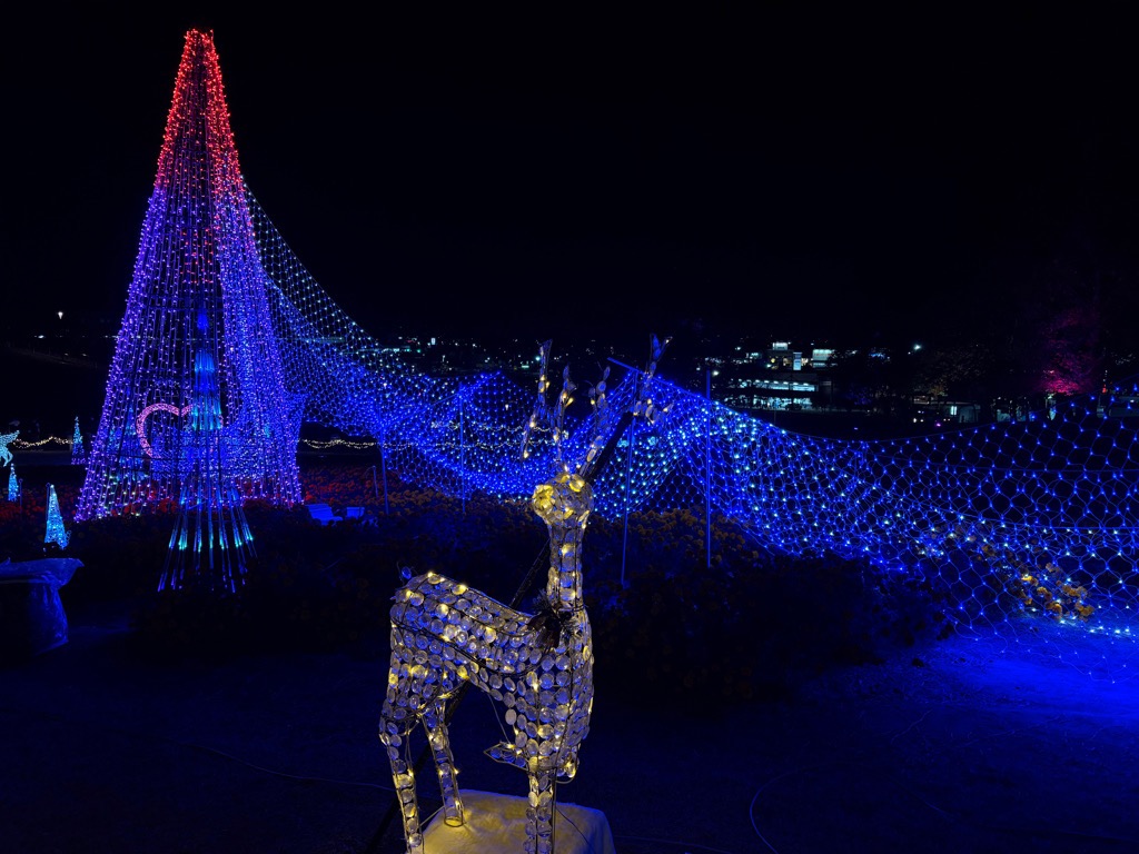 イルミネーション