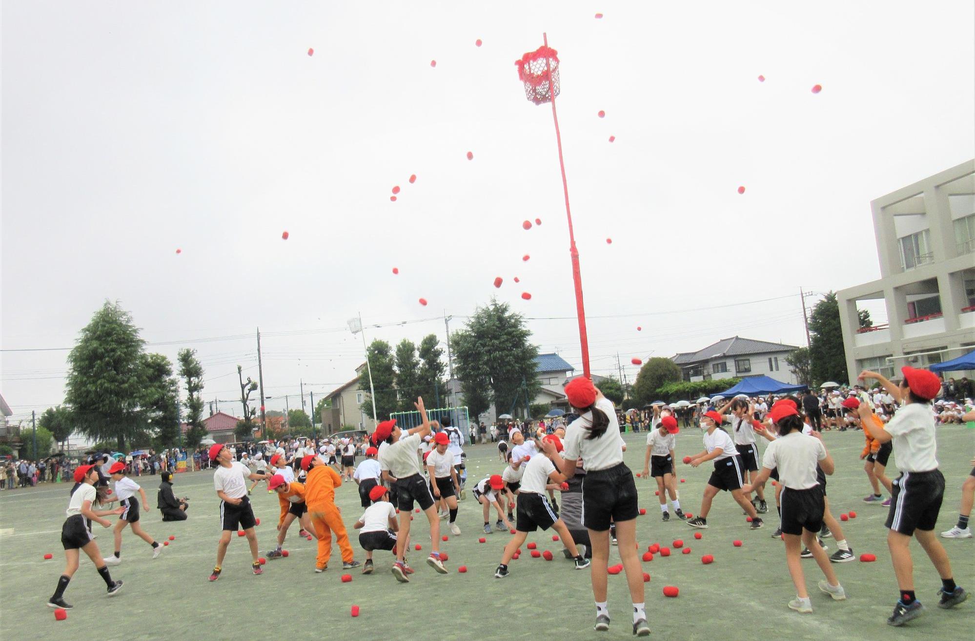 本庄南小全学年赤白対抗スーパー玉入れ