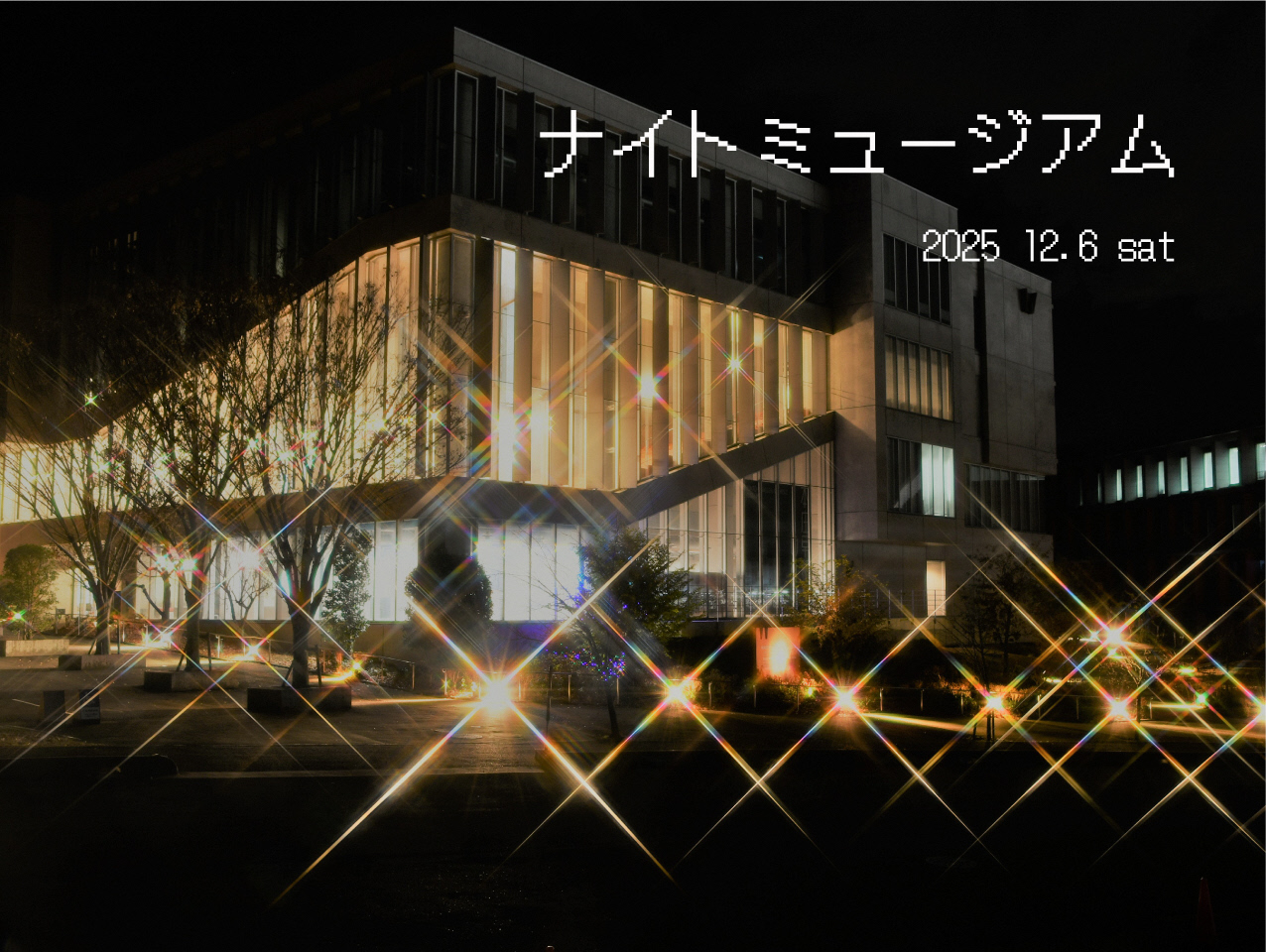 本庄早稲田の杜ミュージアムナイトミュージアムイメージ画像