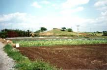 畑の奥に写っている緑の草で覆われた鷺山古墳の写真