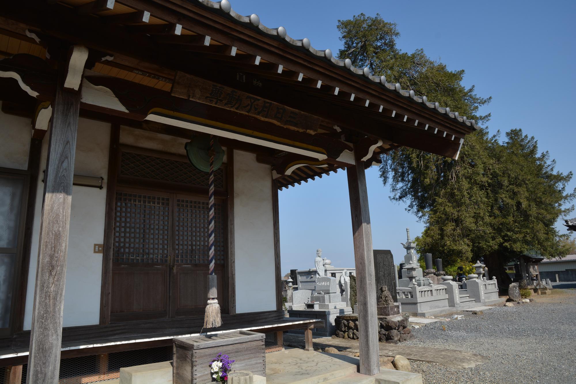 三日月不動とカヤの木