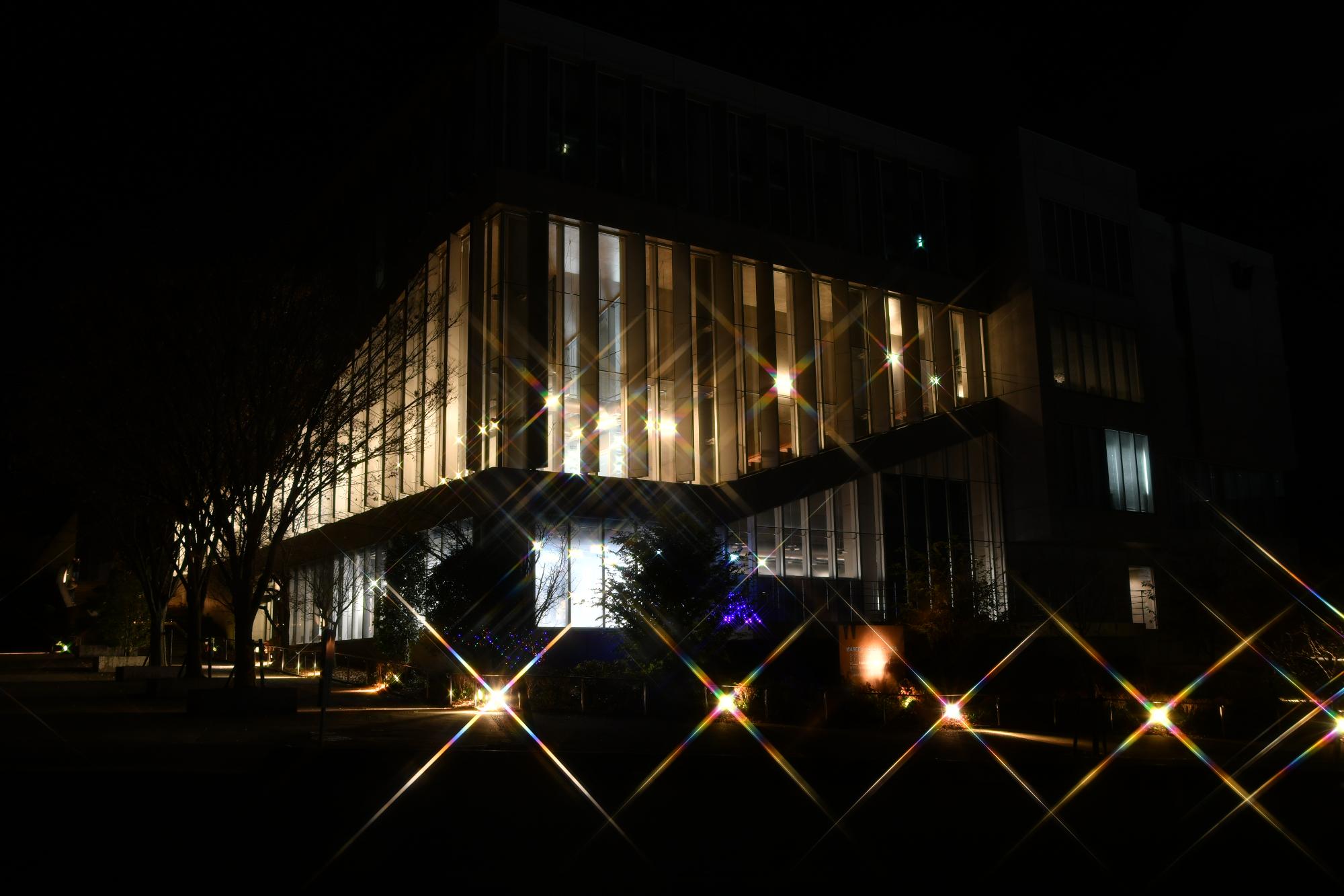 本庄早稲田の杜ミュージアムナイトミュージアムイメージ画像