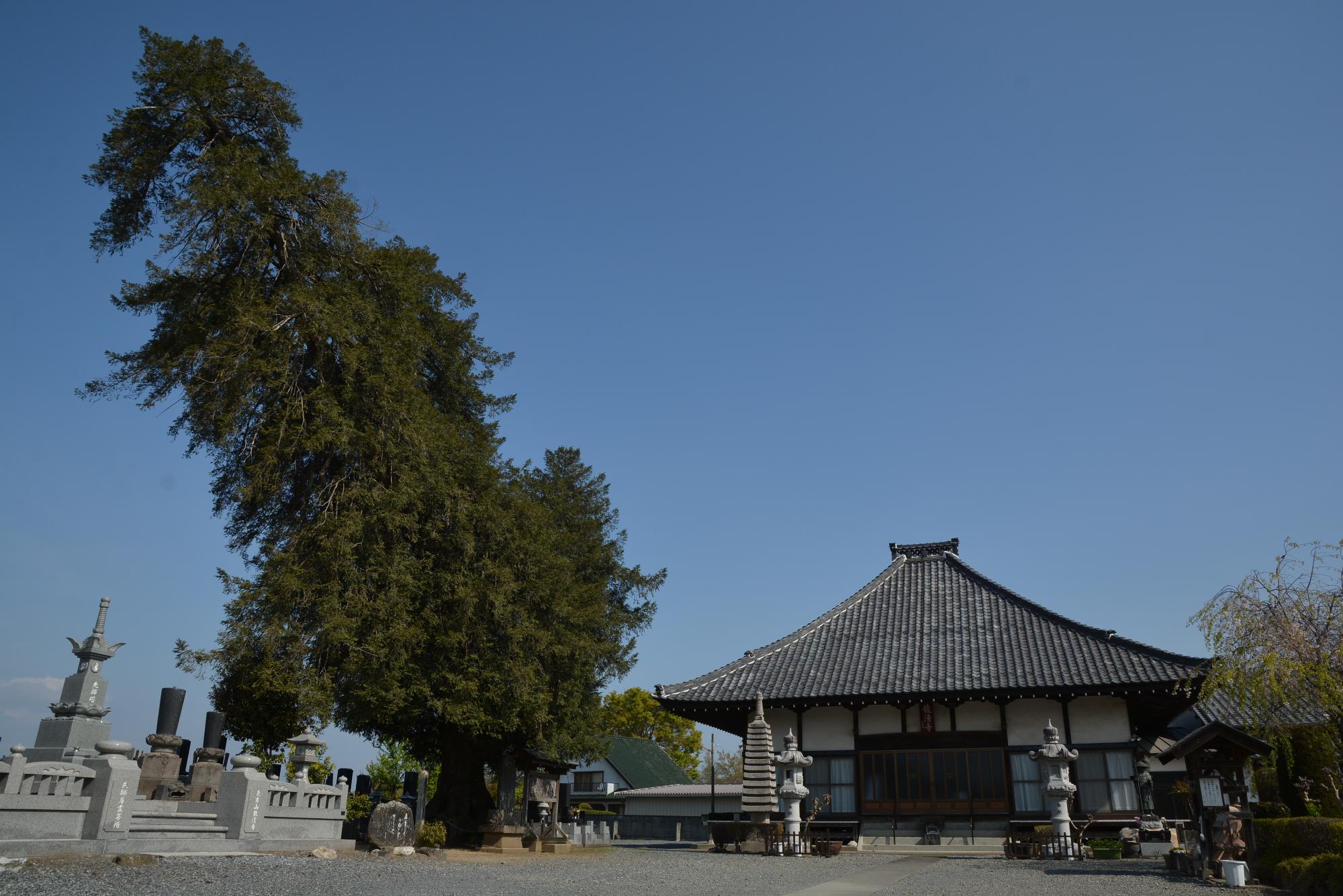 龍清寺