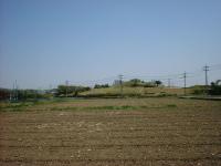 田んぼの奥に見える鷺山古墳の写真