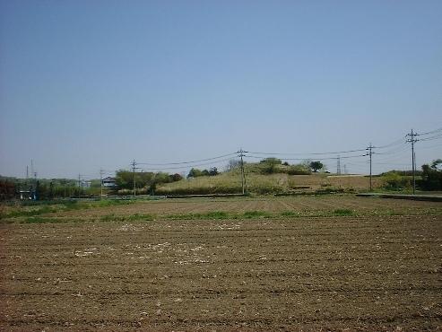 畑の奥に見える鷺山古墳の写真