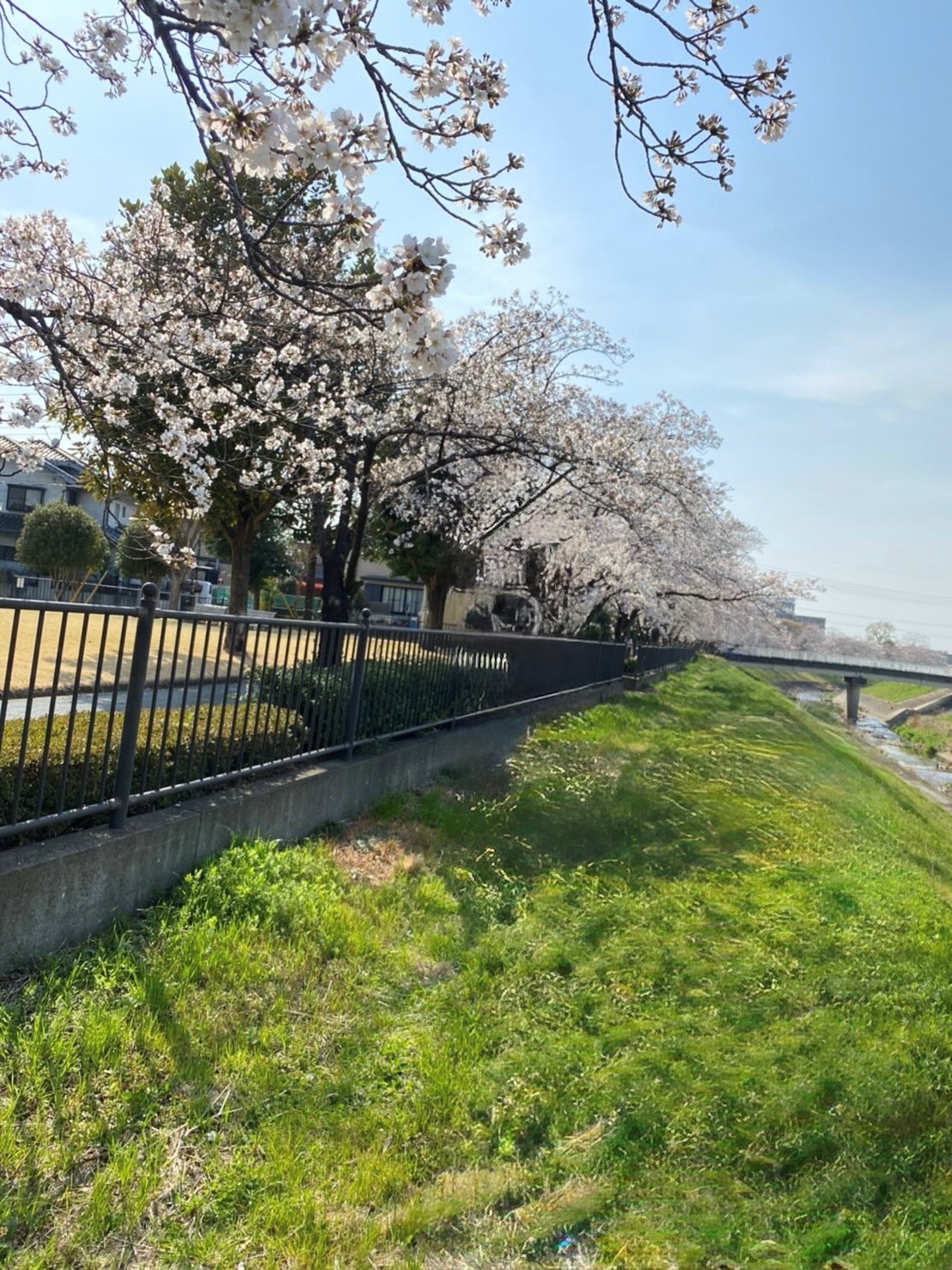市民ライター こったんさん 場所