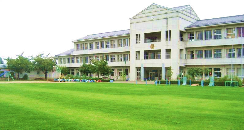 学校の校庭が芝生化されている写真