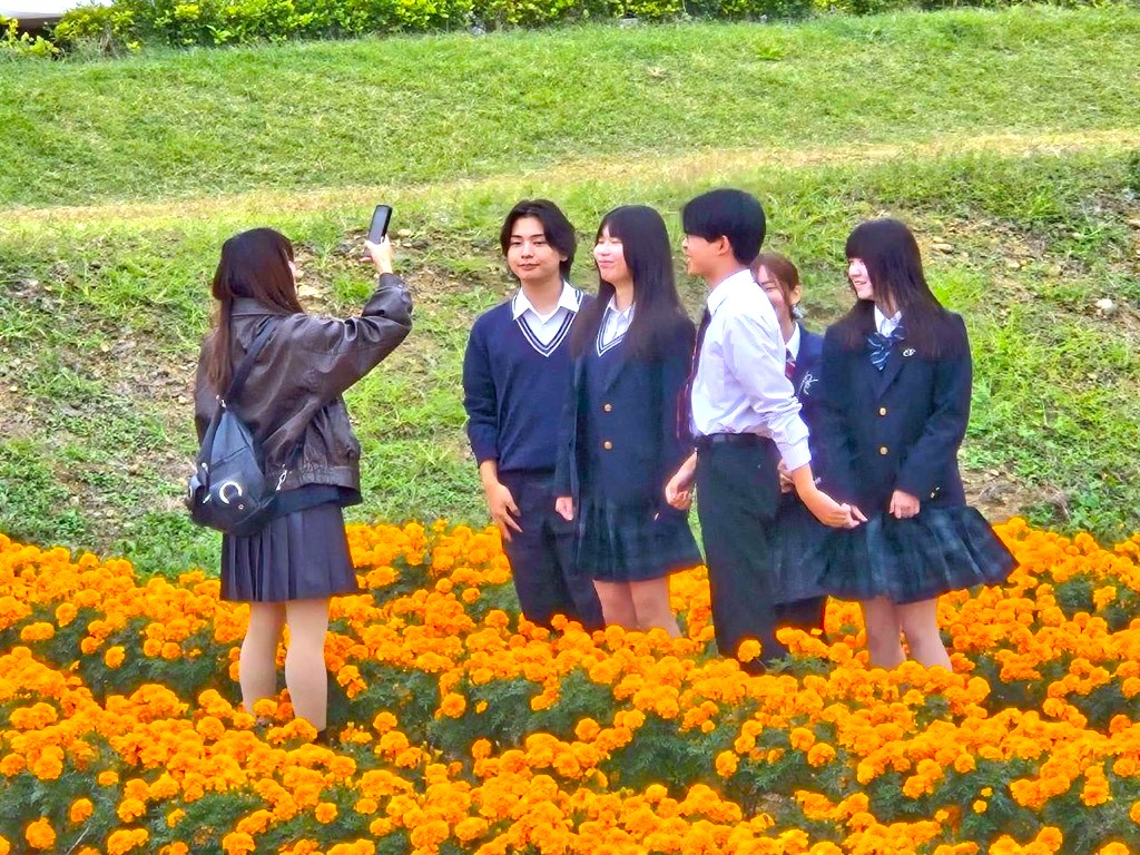 マリーゴールドの丘公園で市のPR動画撮影を行う様子