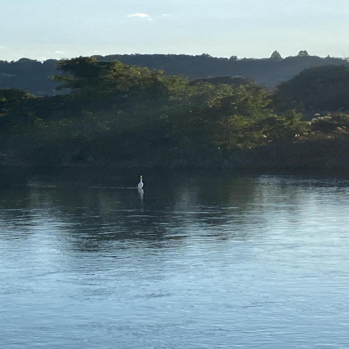 市民ライター こったんさん 場所