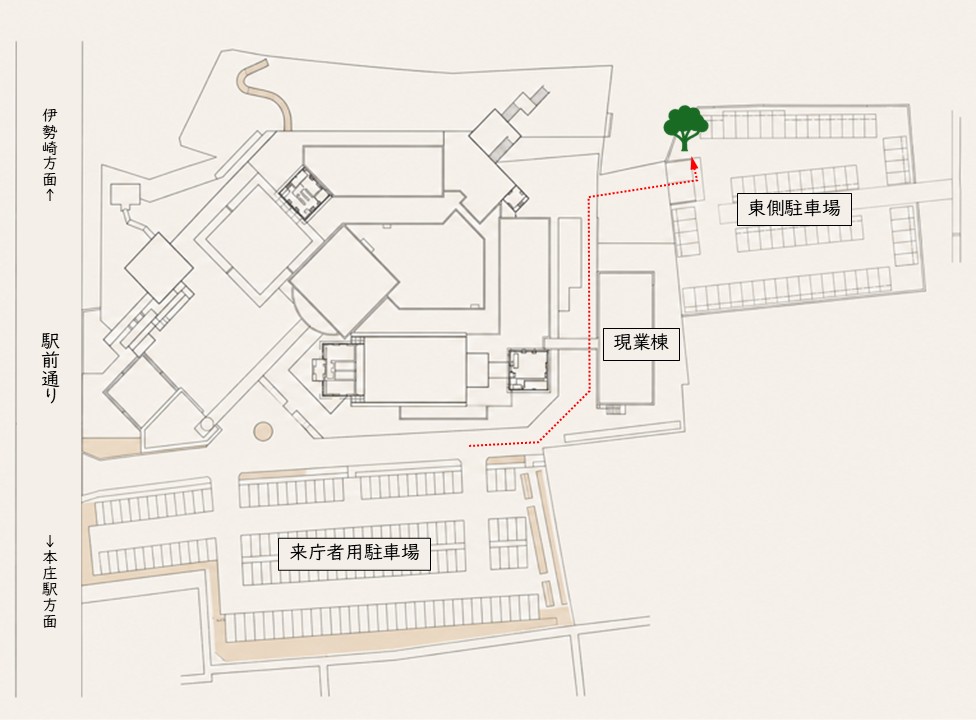 アオギリ植樹位置の地図