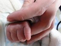 赤ちゃんの小さな手を握りしめている写真