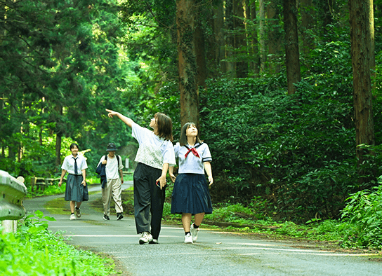 児玉里山地域の森林の中の歩道を進む4人の男女