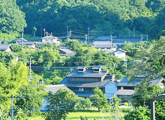 森と家々が写る、児玉里山地域の風景写真